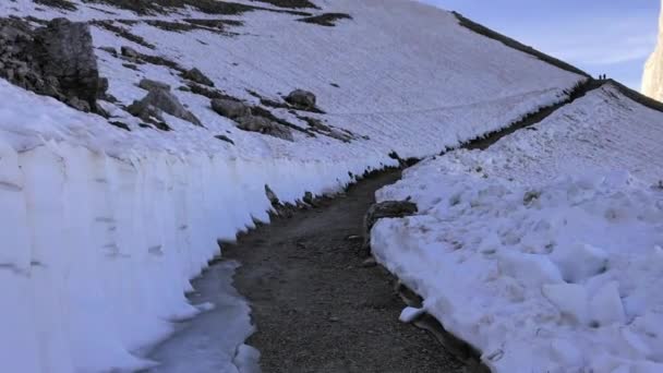 Wandelen Dolomieten Italië Met Uitzicht Tre Cime Vroeg Ochtend — Stockvideo