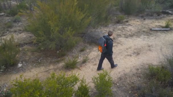 Foto Panoramica Aerea Giovane Che Cammina Lungo Sentiero Forestale Una — Video Stock