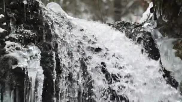 Una Cascata Una Foresta Innevata Con Neve Che Ricopre Dintorni — Video Stock