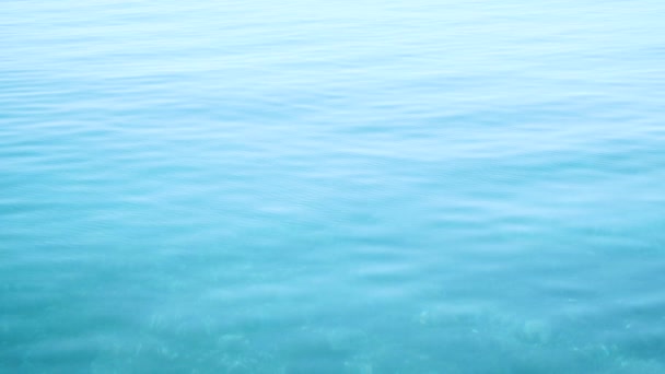 Slow Motion Clip Calm Water Waves — Stock Video