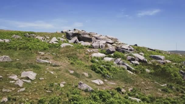 Ευρεία Εναέρια Κούκλα Μπροστά Από Γρανιτένια Βράχια Στο Εθνικό Πάρκο — Αρχείο Βίντεο