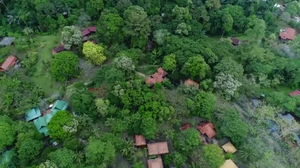 Voando Sobre Forrest Com Pequenas Casas Praia Com Barcos Praia — Vídeo de Stock