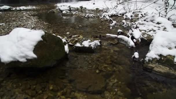 Ein Wasserfall Verschneiten Wald Mit Schneebedeckter Umgebung — Stockvideo