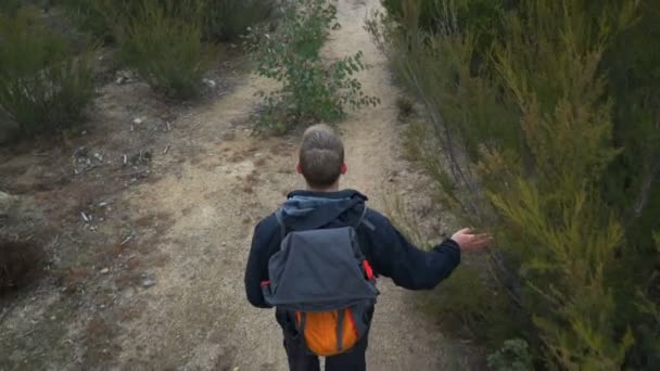 霧深い朝に森の道に沿って若い男のハイキングのオーバーヘッドショット — ストック動画