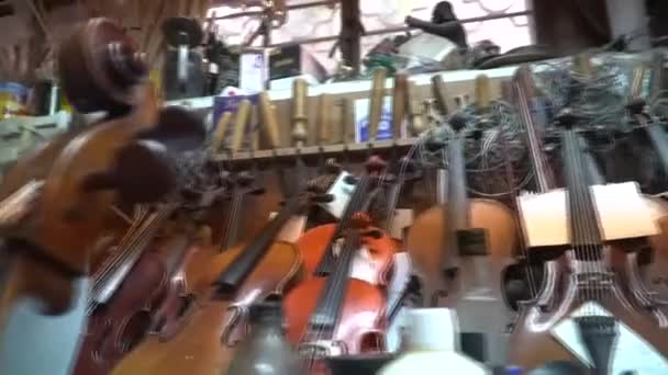 Rack Various Styles Violins Awaiting Restoration Repair Work Violin Repair — Stock Video