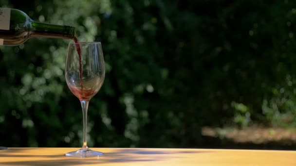 赤ワインのボトルの側面図は フォーカスの緑の背景とスローモーションで輝くワイングラスを充填 — ストック動画