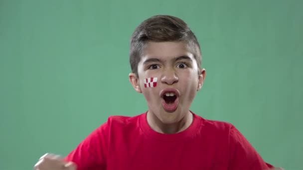 Kid Celebrando Meta Croacia Copa Del Mundo — Vídeo de stock