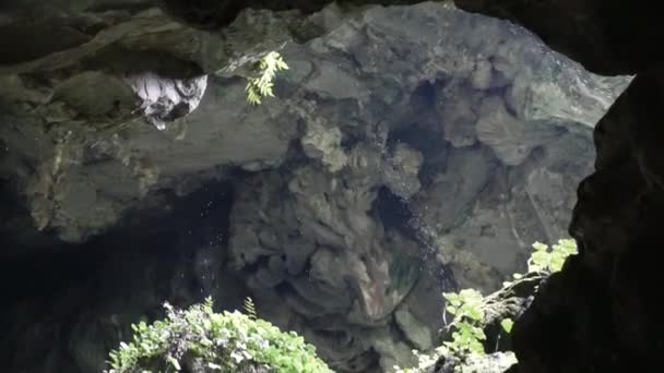 Água Vazando Através Teto Caverna Bornéu — Vídeo de Stock
