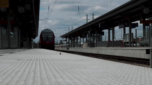 Красный Поезд Отъезжает Станции Германии — стоковое видео