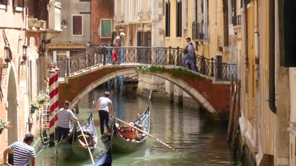 Fotografía Estática Góndolas Pasando Por Debajo Puente Del Canal Venecia — Vídeo de stock