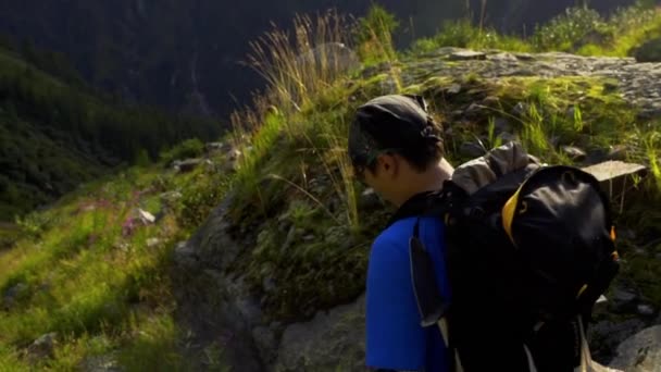 Hombre Caminando Por Montaña Pasando Una Hermosa Flor Día Soleado — Vídeos de Stock