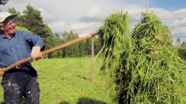 Man Hay Baling — Stock Video