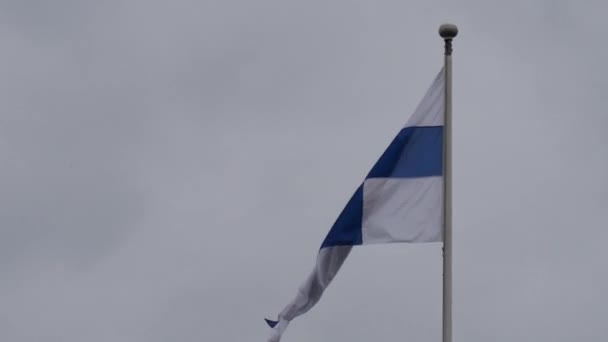 Finnish Military Flag Composed Regular Finnish Flag Finnish Coat Arms — Stock Video