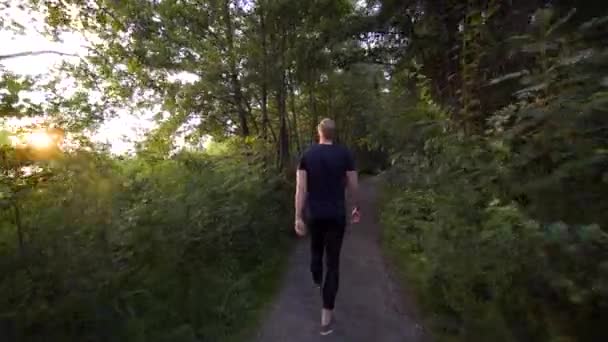 Jovem Nórdico Caminhando Uma Floresta Sueca Durante Hora Ouro Uma — Vídeo de Stock