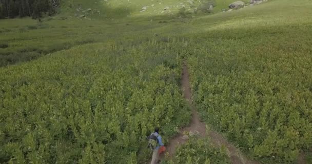 女徒步旅行者在山谷中的草地上行走 — 图库视频影像