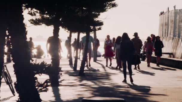 Άνθρωπος Πατινάζ Κατά Μήκος Του Αγίου Kilda Boardwalk Σιλουέτα Αργή — Αρχείο Βίντεο