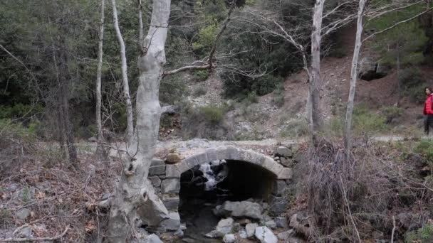 Uma Mulher Caminha Sobre Uma Ponte Pedra Uma Floresta — Vídeo de Stock