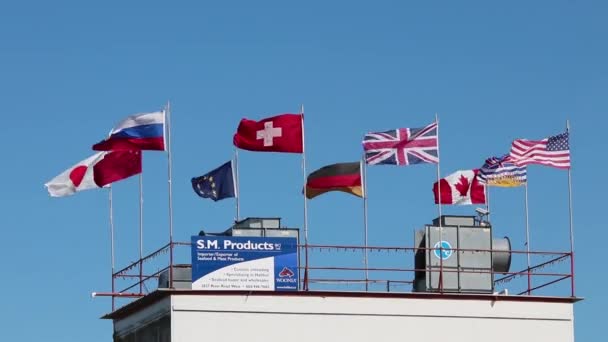 Πολλές Σημαίες Της Χώρας Φυσούν Στον Άνεμο — Αρχείο Βίντεο
