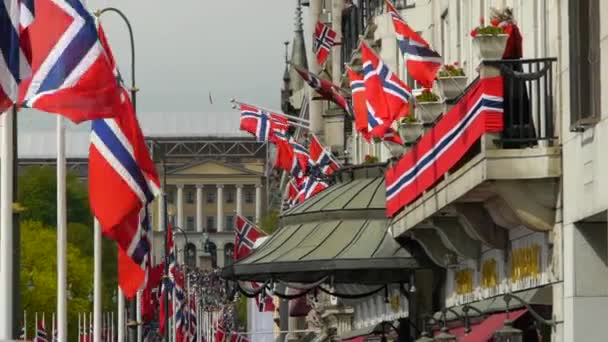 Norveç Ulusal Günü Güzel Tören Alayı Geleneksel Elbise Mutlu Neşeli — Stok video
