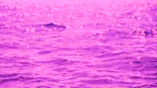 Розовая Расплывчатая Вода Волнами — стоковое видео