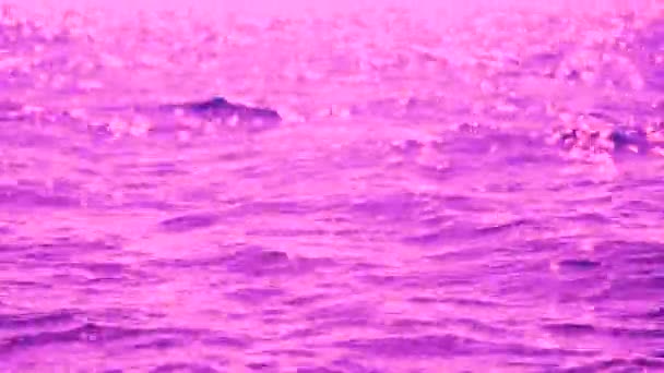 Clip Pink Blurry Water Waves — Stock Video