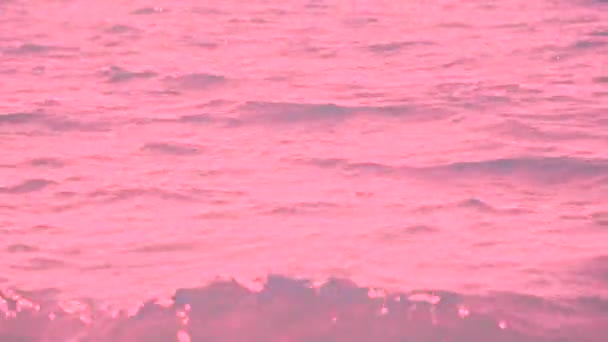 Klip Růžové Barevné Vody Malými Vlnami — Stock video