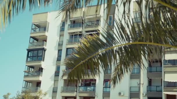 在棕榈树后面的旅馆 — 图库视频影像