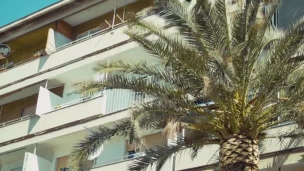 Large palm tree waving in the wind in front of condo buildings.