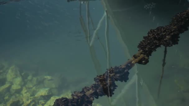 Marina Reflexões Água Corrente Encurralada Cais Barcos — Vídeo de Stock