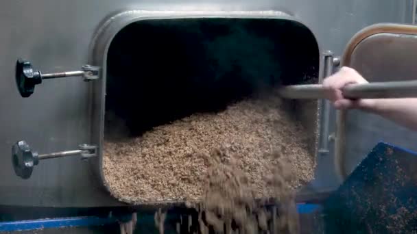 Bryggeriet Mosar Malt Bryggningsprocessen — Stockvideo