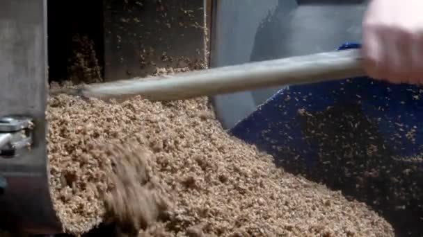 醸造工程で麦芽を粉砕する醸造業者 — ストック動画
