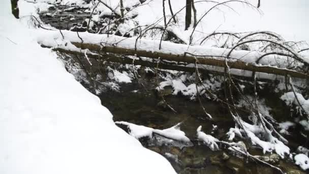 落ちた木と岩を流れる水のある雪の小川のベッド — ストック動画