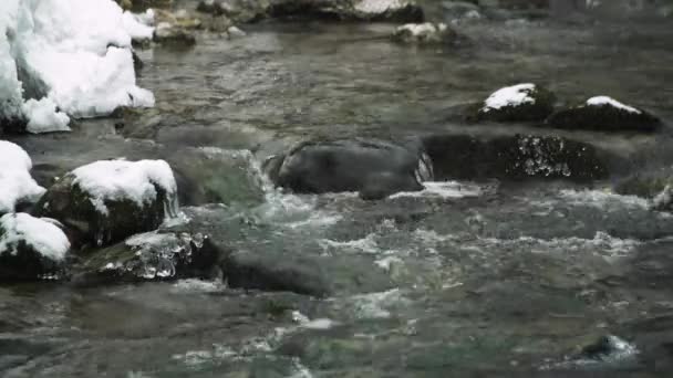 Primer Plano Río Nevado Invierno Con Rocas Sobresaliendo Través — Vídeos de Stock