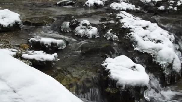 一条雪地的小溪 水流过岩石 — 图库视频影像