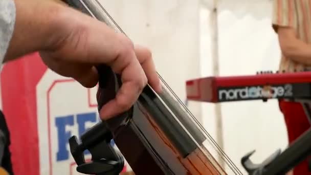 Playing Double Bass Festival — Stock Video