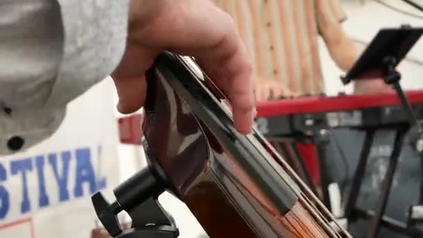 Playing Double Bass Festival — Stock Video