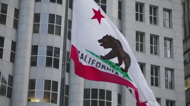 Tiro Bandera República California Ondeando Viento — Vídeos de Stock