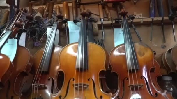 Bastidor Varios Estilos Violines Espera Trabajos Restauración Reparación Taller Reparación — Vídeo de stock