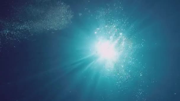 Solstrålar Skimrar Genom Klart Havsvatten — Stockvideo