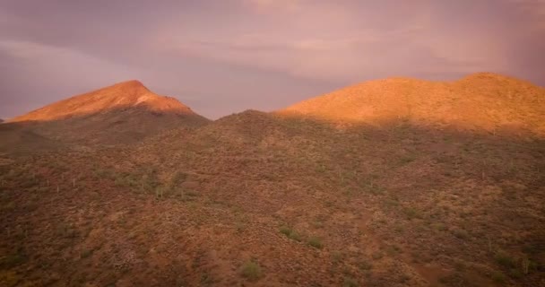 日没時のアリゾナ州のソノラン砂漠の空中ビュー — ストック動画