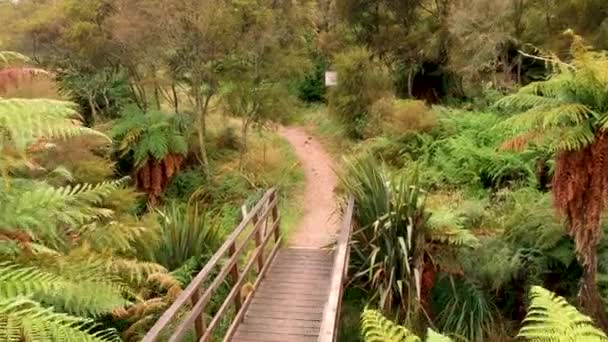 Taupo Yeni Zelanda Köprüden Bisikletle Geçen Bir Adam — Stok video