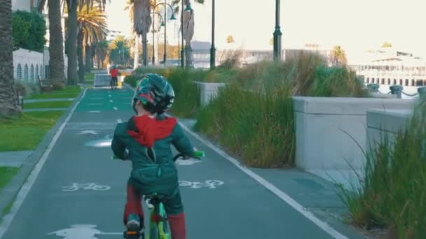 Niños Montando Bicicleta Largo Carril Bici Kilda Con Niño Con — Vídeo de stock