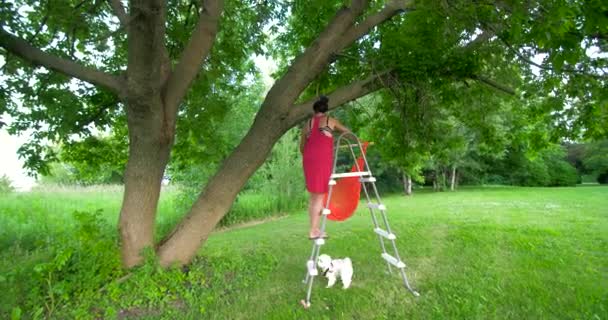 Жінка Яка Вішає Гамак Своїм Маленьким Собакою — стокове відео