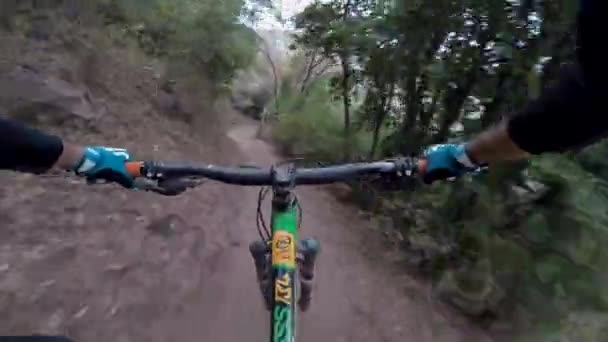 Mountain Bike Vista Prima Persona — Video Stock