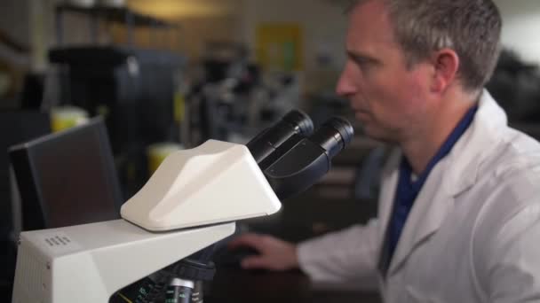 Lab Technician Examines Sample Microscope — Stock Video