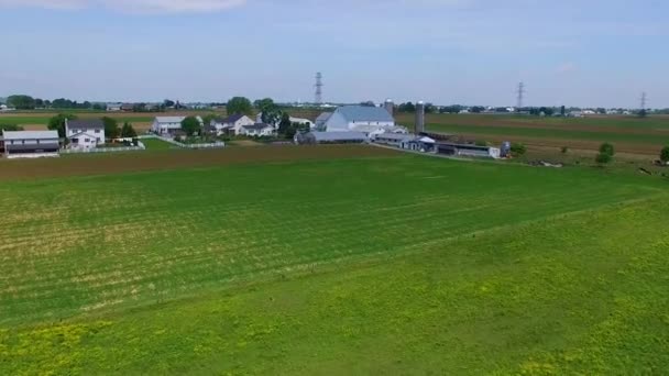 Campagna Agricola Amish Fattoria Drone — Video Stock