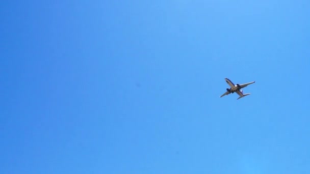 Avión Sobrevuela Desaparece Sobre Una Valla Árboles Autopista Sobre Paso — Vídeo de stock