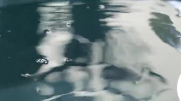 清澈的水滴 — 图库视频影像
