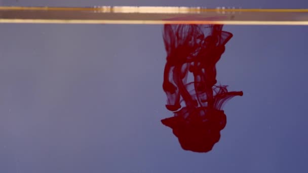 Πολλαπλές Κόκκινες Σταγόνες Χρώματος Που Διαλύονται Στο Νερό — Αρχείο Βίντεο