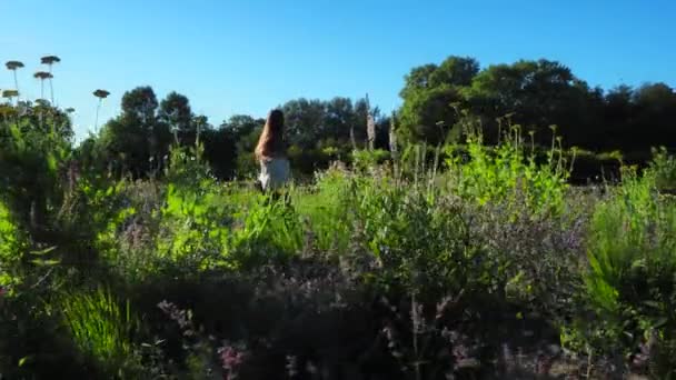 Une Fille Marche Dans Jardin Française — Video